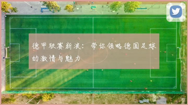 德甲联赛新浪：带你领略德国足球的激情与魅力