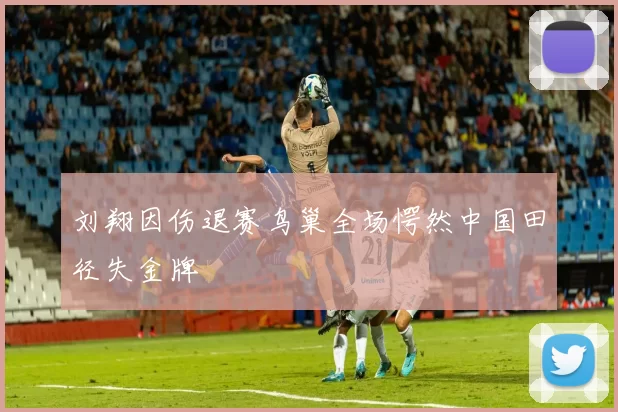 刘翔因伤退赛鸟巢全场愕然中国田径失金牌