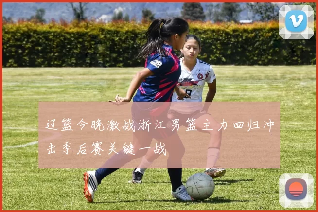 辽篮今晚激战浙江男篮主力回归冲击季后赛关键一战