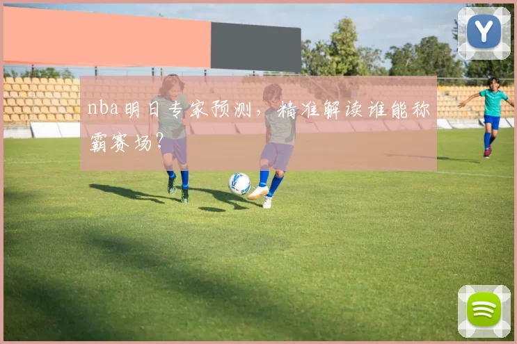 nba明日专家预测,精准解读谁能称霸赛场?