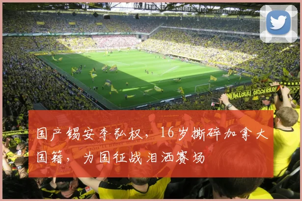 国产锡安李弘权,16岁撕碎加拿大国籍,为国征战泪洒赛场