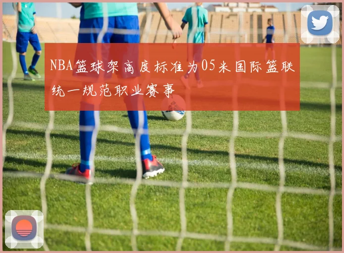 NBA篮球架高度标准为05米国际篮联统一规范职业赛事