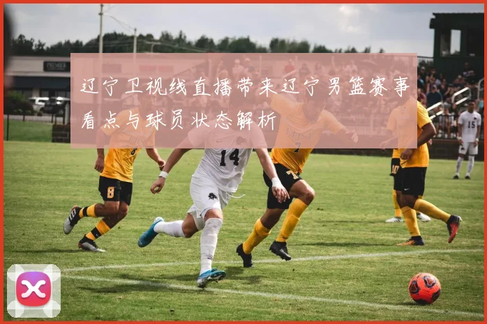 辽宁卫视线直播带来辽宁男篮赛事看点与球员状态解析