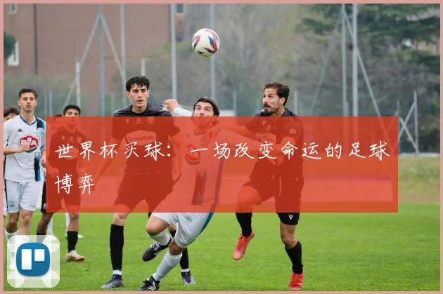 世界杯买球：一场改变命运的足球博弈